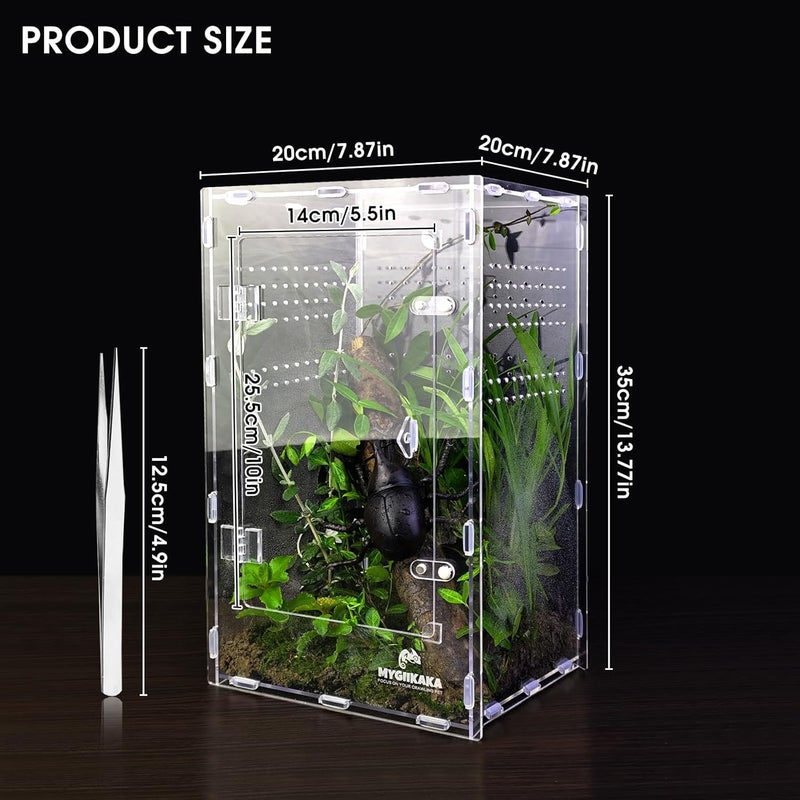 MYGIIKAKA Acrylic Jumping Spider Enclosure - Insect Terrarium for Spiders, Mantises, Tarantulas & Frogs - Image 2